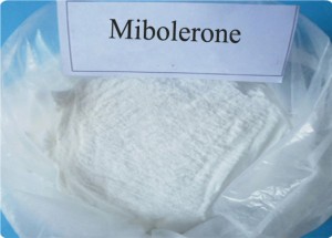 Raw Steroid Cheque drops Powder Mibolerone Anabolic Steroid For Bodybuilder