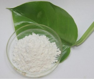 Bodybuilding Supplements BCAA 2:1:1 Branched-Chain Amino Acid for Providing Energy