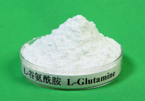 Bodybuilding Supplement Muscle Protein raw material L-Glutamine for Sport Nutrition